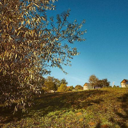 Scandinave Chalet Bran Zărneşti Exteriér fotografie