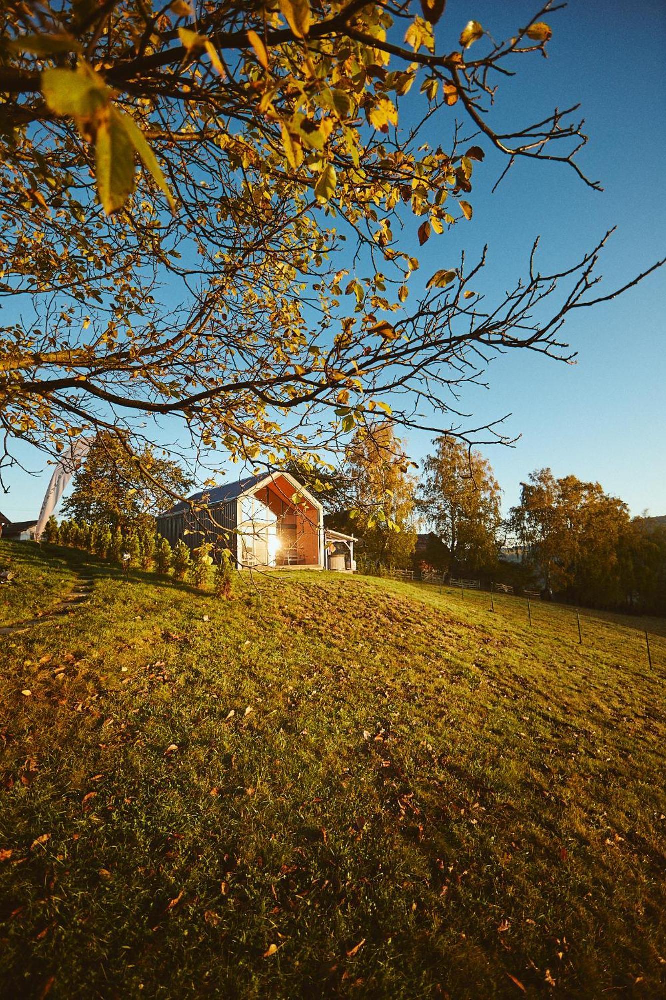 Scandinave Chalet Bran Zărneşti Exteriér fotografie