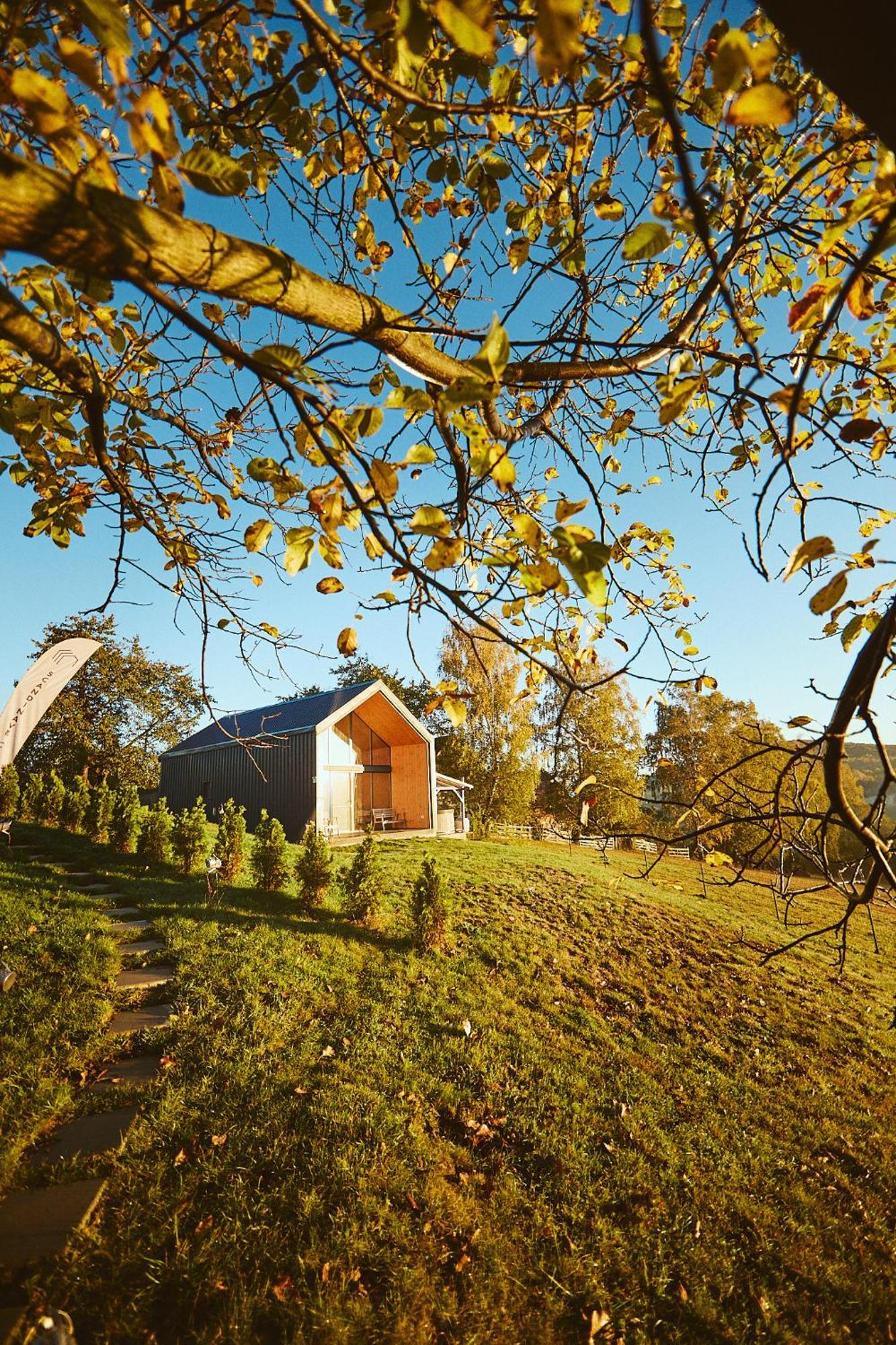 Scandinave Chalet Bran Zărneşti Exteriér fotografie