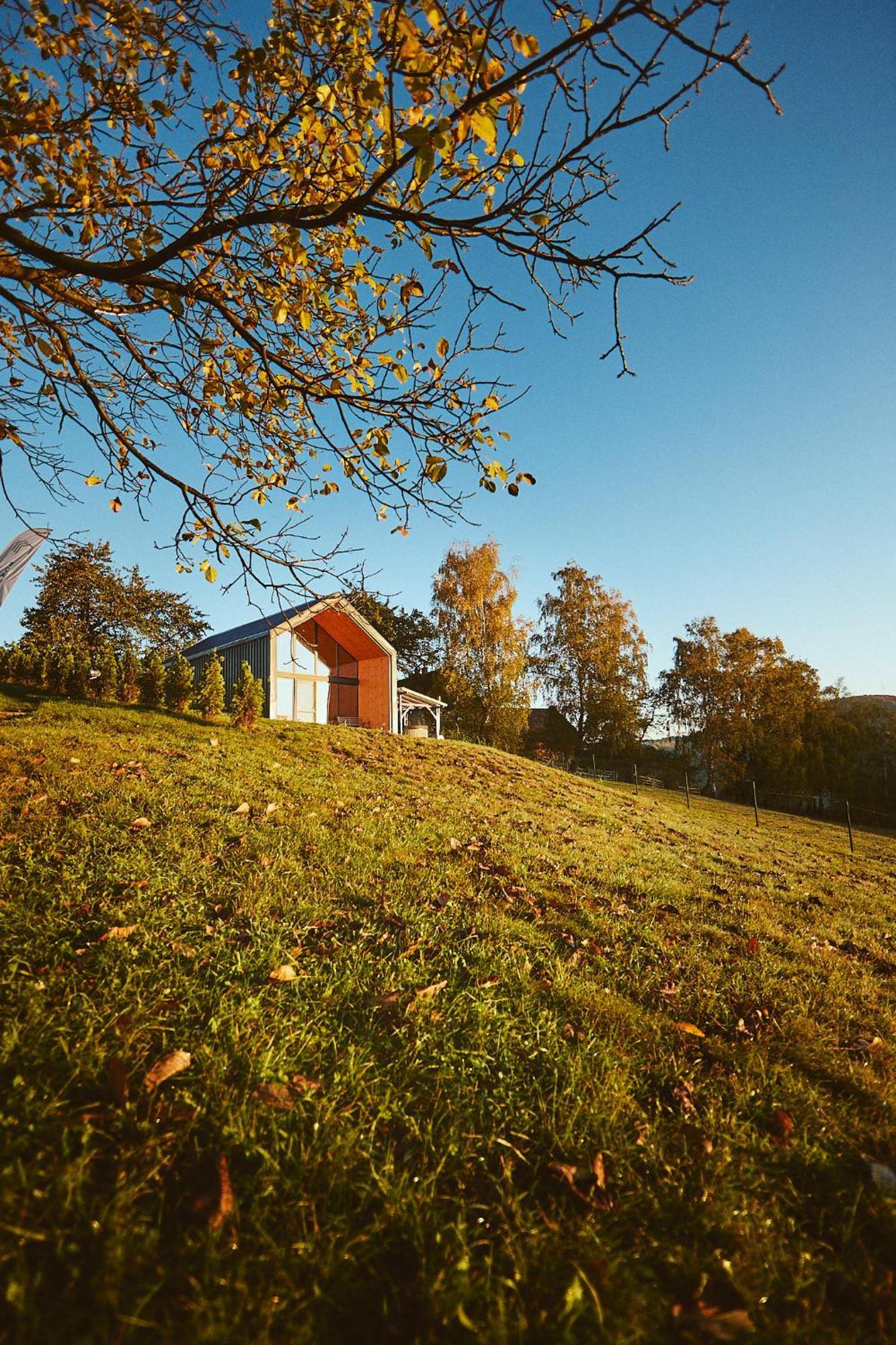 Scandinave Chalet Bran Zărneşti Exteriér fotografie