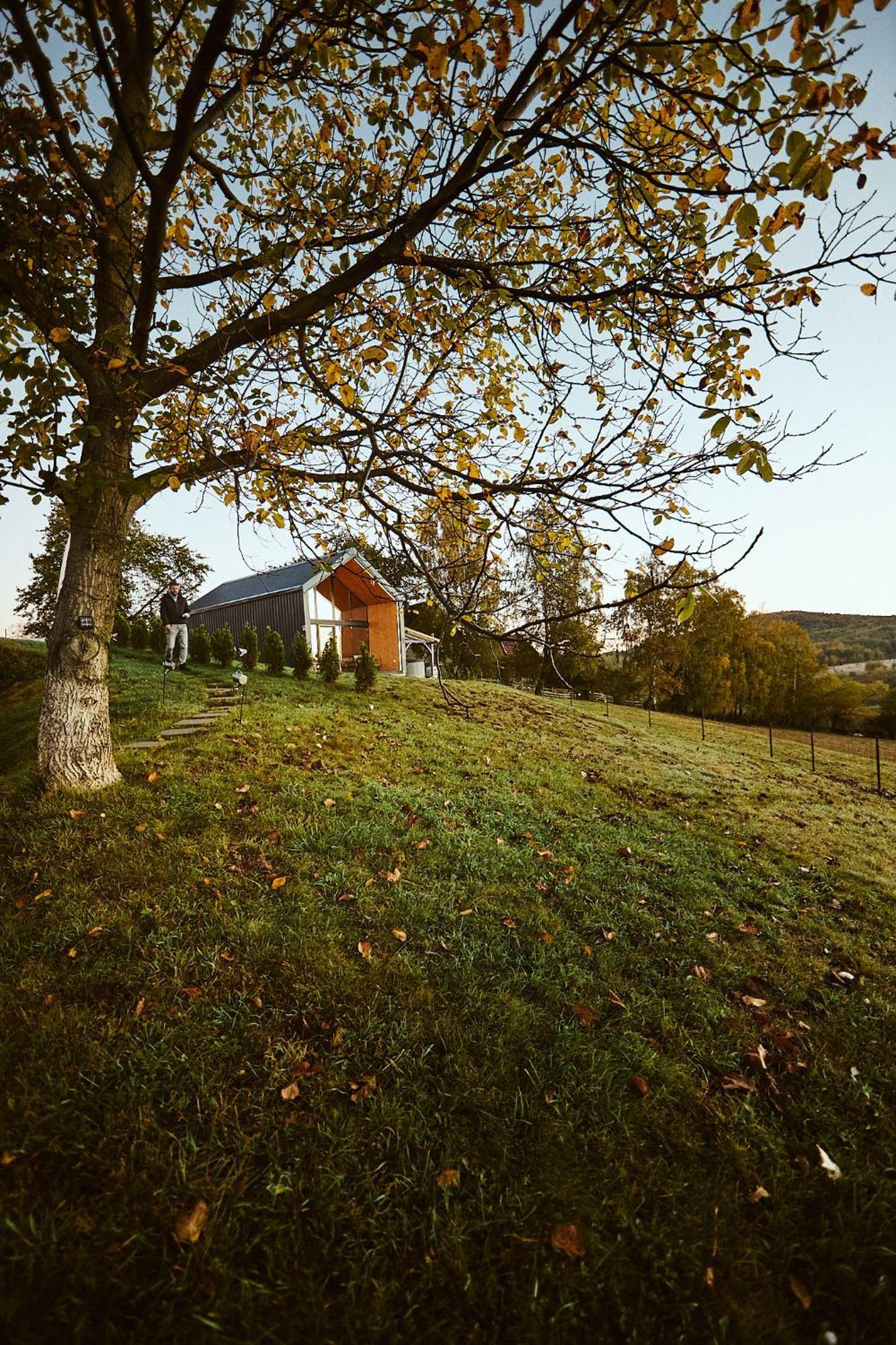 Scandinave Chalet Bran Zărneşti Exteriér fotografie