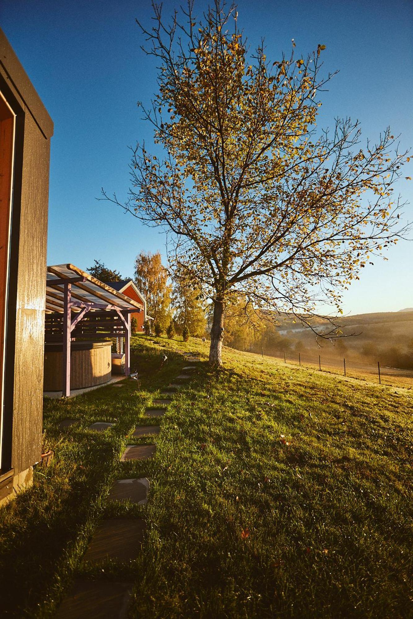 Scandinave Chalet Bran Zărneşti Exteriér fotografie