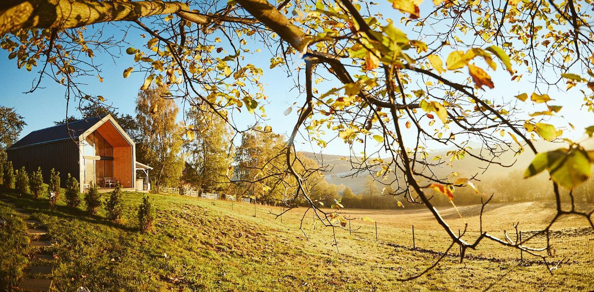Scandinave Chalet Bran Zărneşti Exteriér fotografie