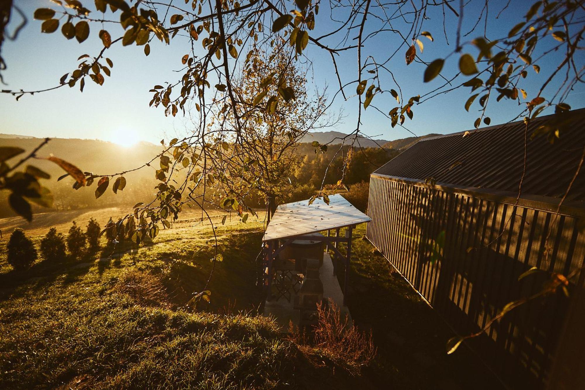 Scandinave Chalet Bran Zărneşti Exteriér fotografie