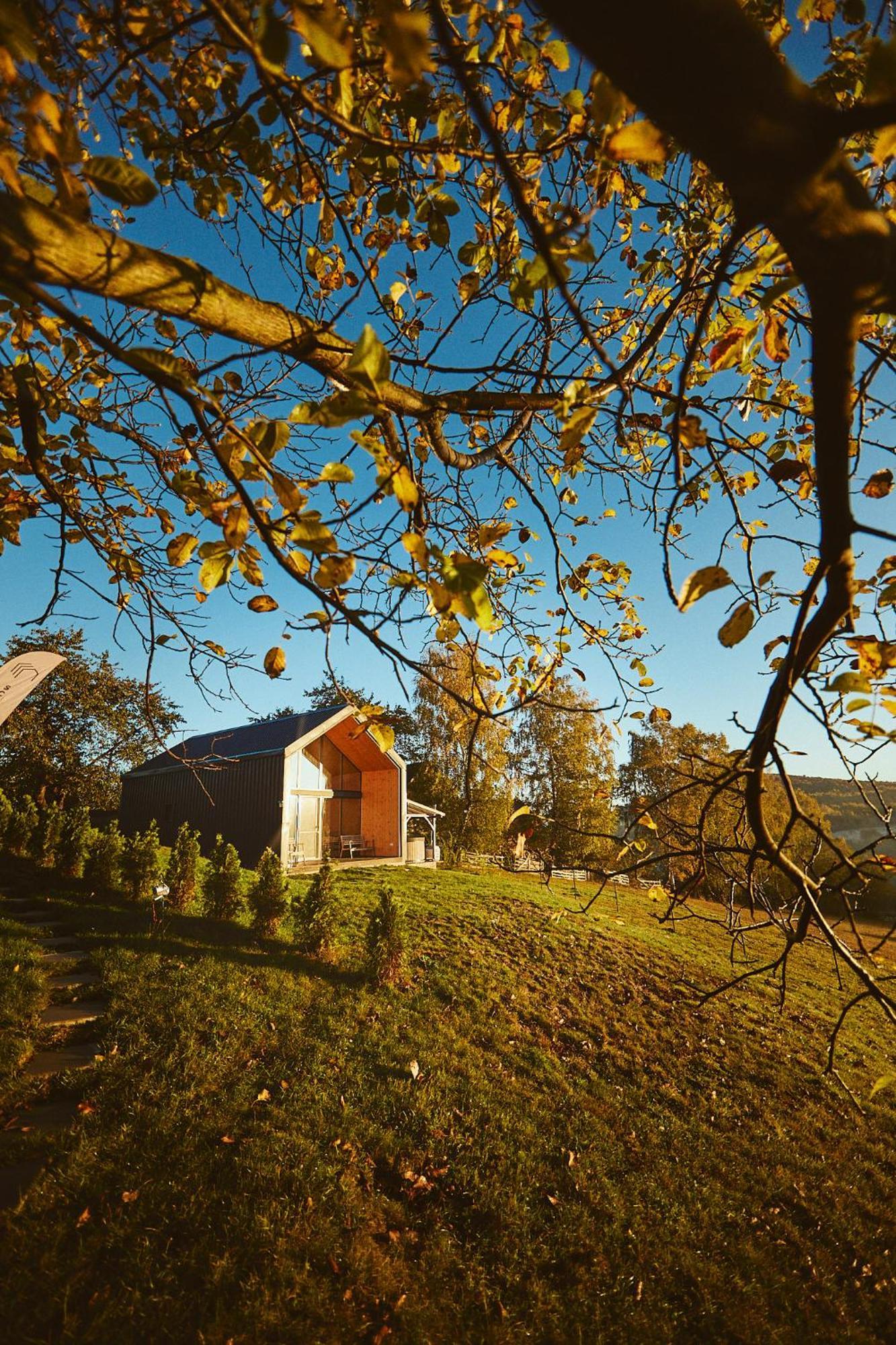 Scandinave Chalet Bran Zărneşti Exteriér fotografie