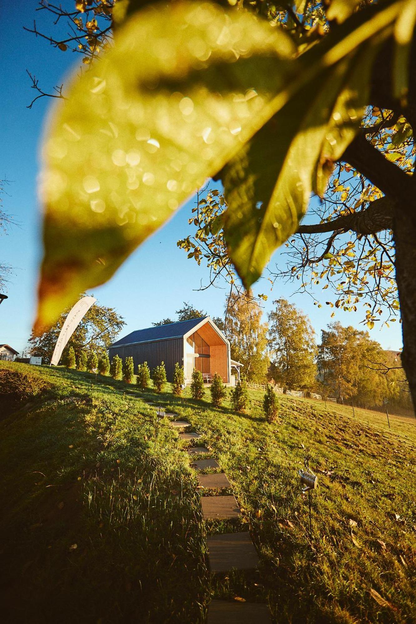 Scandinave Chalet Bran Zărneşti Exteriér fotografie